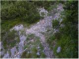 Planina Jezerca - Veliki Zvoh